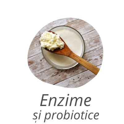 categoria enzime si probiotice